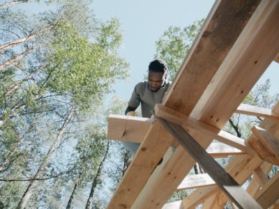 pexels-ron-lach-8829892